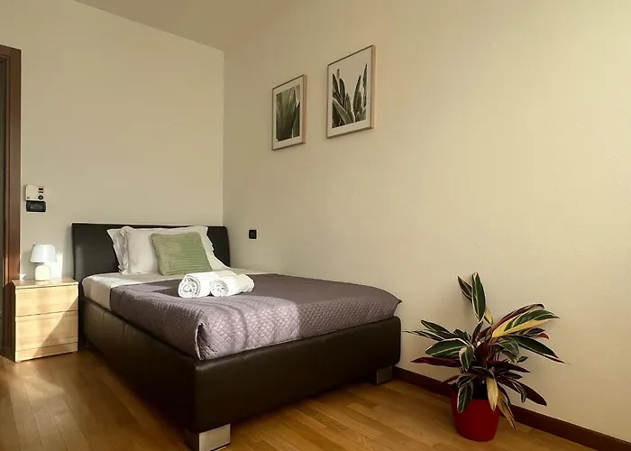 Pao - Borgo Milano Verona